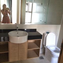 The Waterline (D19), Condominium #66757812